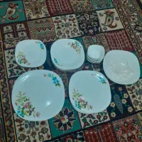 ظروف (سرویس) آرکوپال نونونو