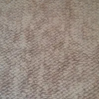 پالاز موکت