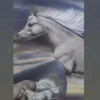 تابلو پارچه مخمل|تابلو، نقاشی، عکس|تهران, جنت‌آباد جنوبی|دیوار
