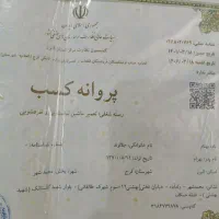 تعمیرات لباسشویی به صورت تخصصی|خدمات پیشه و مهارت|محمدشهر, سیدآباد|دیوار