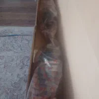 پلوس راست( بلند) نو پژو ۴۰۵ مارک هرینگتون