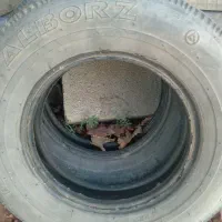 مجسمه لاستیک