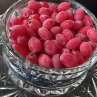 زرشک تازه قاینات