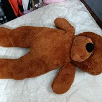 خرس خسته ۲متری
