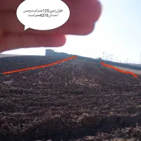 زمین‌زراعی