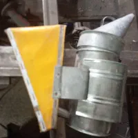 دم دود زنبورعسل