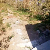 خانه-باغ-کلید-نخورده-سند-دار