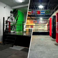 اجاره-سانس-در-باشگاه-رزمی-بوکس