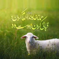 توجه توجه تخفیف ویژه گوسفندزنده بمناسبت عیدقربان|حیوانات مزرعه|کرج, چهارصد دستگاه|دیوار