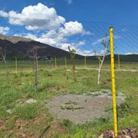 فروش زمین|فروش زمین و ملک کلنگی|طالقان, |دیوار