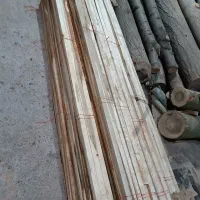 قیدمبلی سپیداری