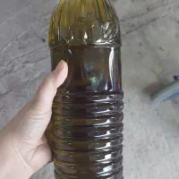 روغن زیتون طارم