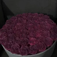 گل ربانی ولنتاین|گل مصنوعی|کرمان, |دیوار