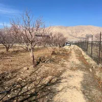 زمین ۳۴۰ متر ۴۰۴ متری باغستان متری ۴ میلیون جابان|فروش زمین و ملک کلنگی|دماوند, دماوند|دیوار