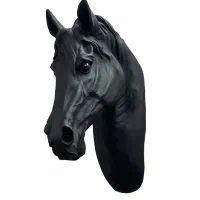 دیوارکوب اسب