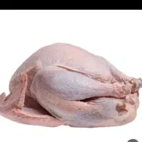 پروتئین.گوشت منجمدسوسیس کالباس .پنیرپیتزا|خوردنی و آشامیدنی|قم, میدان نو|دیوار