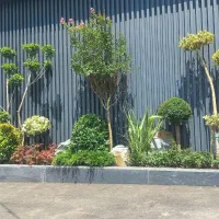 خدمات باغبانی باغچه کاری تعویض خاک گلدان کاشت گل