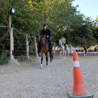 دوره آموزش سوارکاری اصولی از مبتدی تا پیشرفته|خدمات آموزشی|سنندج, |دیوار