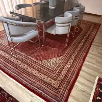 فرش ساروق 12 متری|فرش|کیش, |دیوار