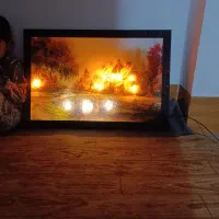 قاب عکس. تابلو فرش. آباژور در حد نو میباشد..|تابلو فرش|الیگودرز, |دیوار