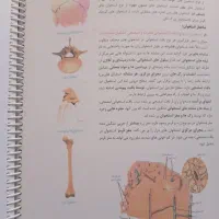 جزوه زیست عظیمی تاملند|لوازم التحریر|سنقر, |دیوار