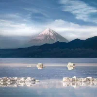 اجاره-زیر-زمین