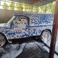 کارگر ماهر کارواش