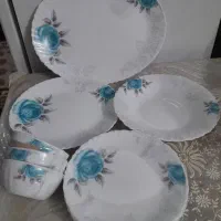 سرویس آرکوپال نو با کارتن