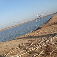 اجاره-مسکونی