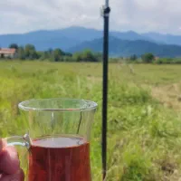 نقشه برداری  UTM  شمیم سیماک