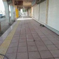 اجرایی کلی ظریف کاری وسفت کاری|خدمات پیشه و مهارت|بهنمیر, |دیوار