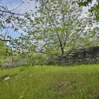 فروش زمین باغی دهبکری|فروش زمین و ملک کلنگی|دهبکری, |دیوار