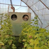 جت هیتر کابینتی ۲۶۰هزار گلخانه