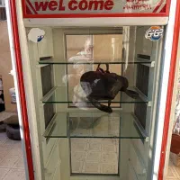 یخچال فروشگاهی دو درب در حد نو