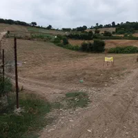 فروش زمین ۵۰۰ متری روستای سعد آباد گرگان|فروش زمین و ملک کلنگی|گرگان, |دیوار