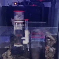 آکواریوم ریملکس حرفه ای|ماهی|اندیشه, شهرک مریم|دیوار