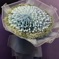 دسته گل پول|گل مصنوعی|مراغه, |دیوار
