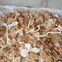 نان خشک نون خشک