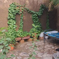 خوابگاه خواهران نرجس