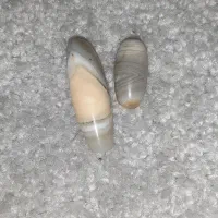 سنگ آسیاب|کلکسیون اشیاء عتیقه|بندرعباس, |دیوار