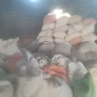 پوست گردو برای تولید زغال