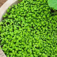 لطفاً راهنمایی کنید