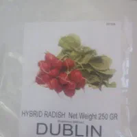 بذرتربچه گلخانه وفضای باز وانواع سبزیجات|خدمات باغبانی و درختکاری|نیشابور, شهید بهشتی|دیوار