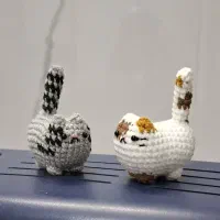 گربه عمده بافتنی