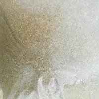 گلپر تخمه ای ایرانی تازه تازه