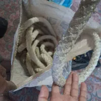 طناب|کوهنوردی و کمپینگ|نیشابور, دربقاضی|دیوار