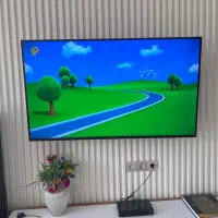 تلویزیون ۵۵اینچ. مارک اس پی جی.