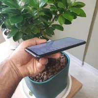 شیاومی poco M5S|موبایل|کرج, گلشهر|دیوار