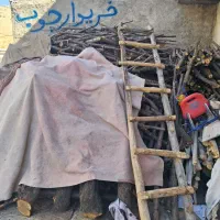 فروش چوب بادام بید وسفیدار ضایعات ونجاری|خدمات باغبانی و درختکاری|همایجان, |دیوار