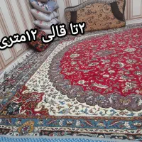 قالی|فرش|کارون, |دیوار